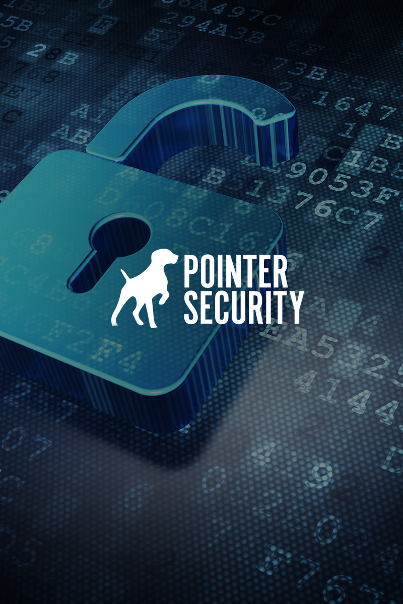 Pointer Security